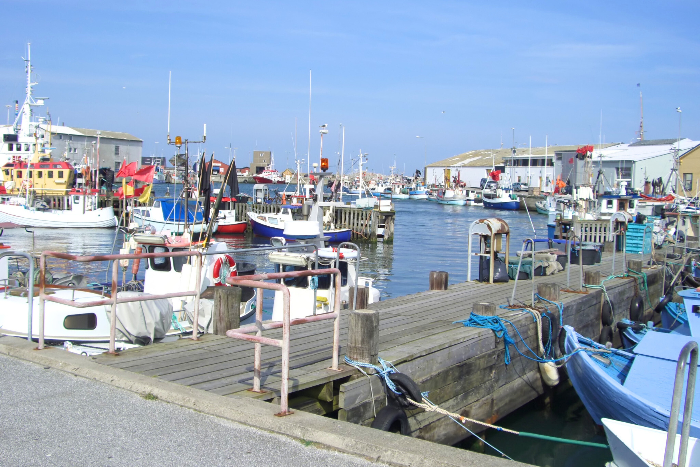 48_Hirtshals[1].webp